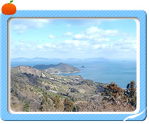 中島通信